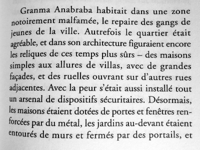 Love is Power ou quelque chose comme ça, A. Igoni Barret, éd. Zulma.